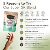 Longevity Botanicals Super Six poudre grains fins, pureté des champignons fruiting-body.