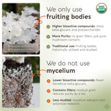Longevity Botanicals Tremella extrait 10:1, concentration élevée et absorption rapide.