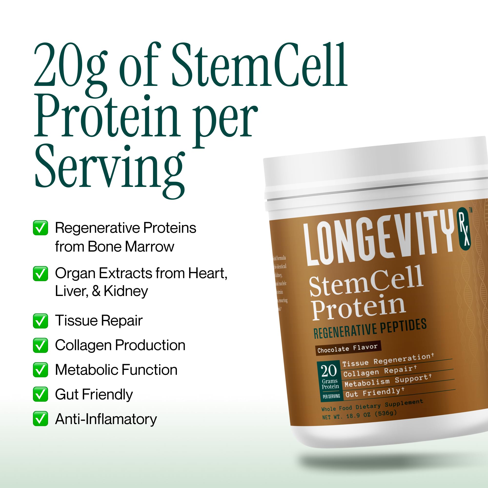 Longevity Rx poudre protéine cellules souches chocolat creme mousse - texture veloutée.