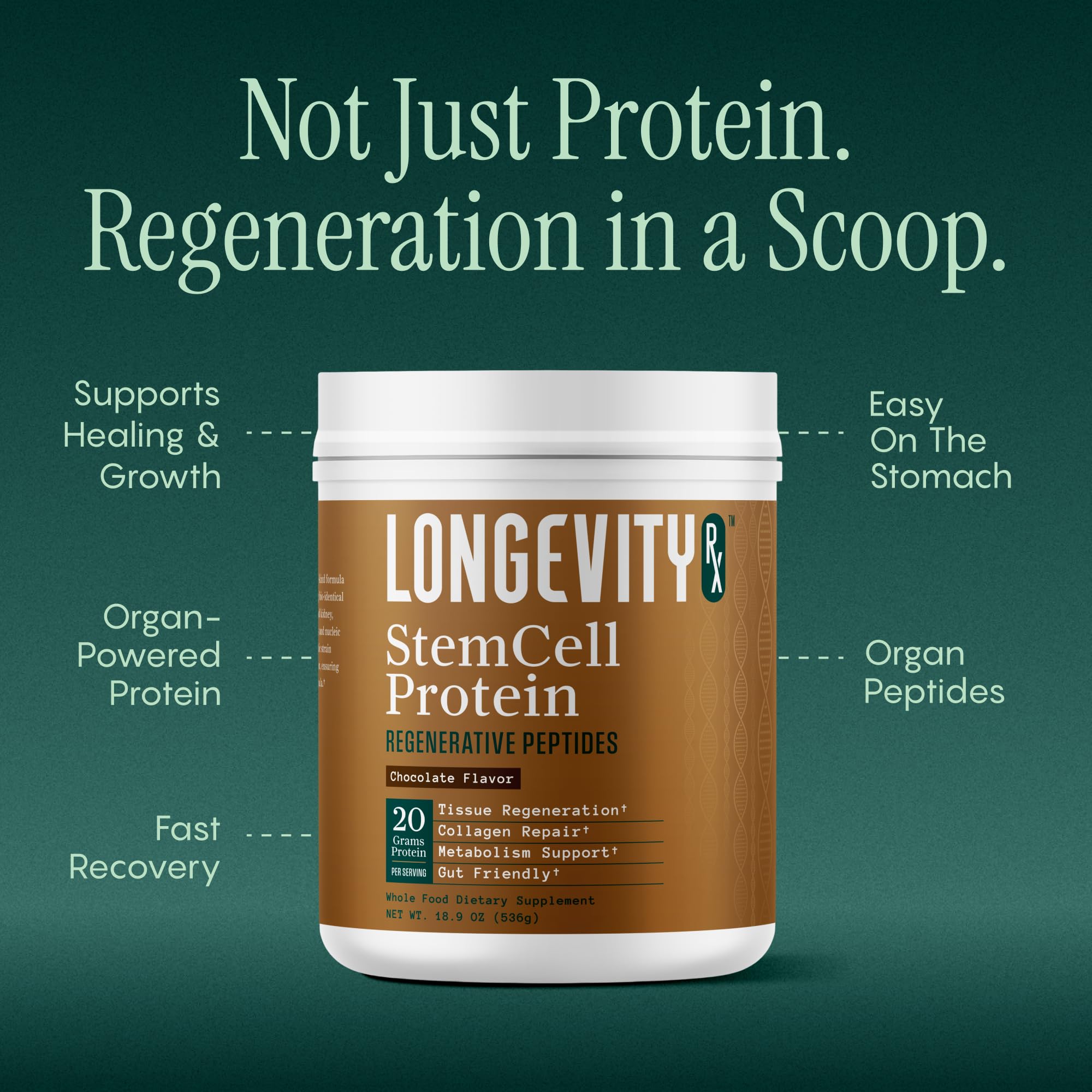 Longevity Rx poudre protéine cellules souches chocolat verre mélange - boisson nutritive pratique.