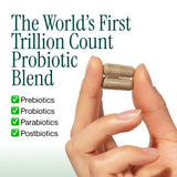 Longevity Rx Probiotic Trillion — capsules visibles favorisant prébiotiques et probiotiques pour la santé intestinale.