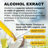 Gouttes dans verre d'eau – utilisation pratique avec Pine Pollen Tincture.