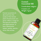 LotusJoy fenouil soin visage crème pour routine bien-être.