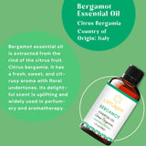 LOTUSJOY huile bergamote prête à diffuser dans diffuseur.