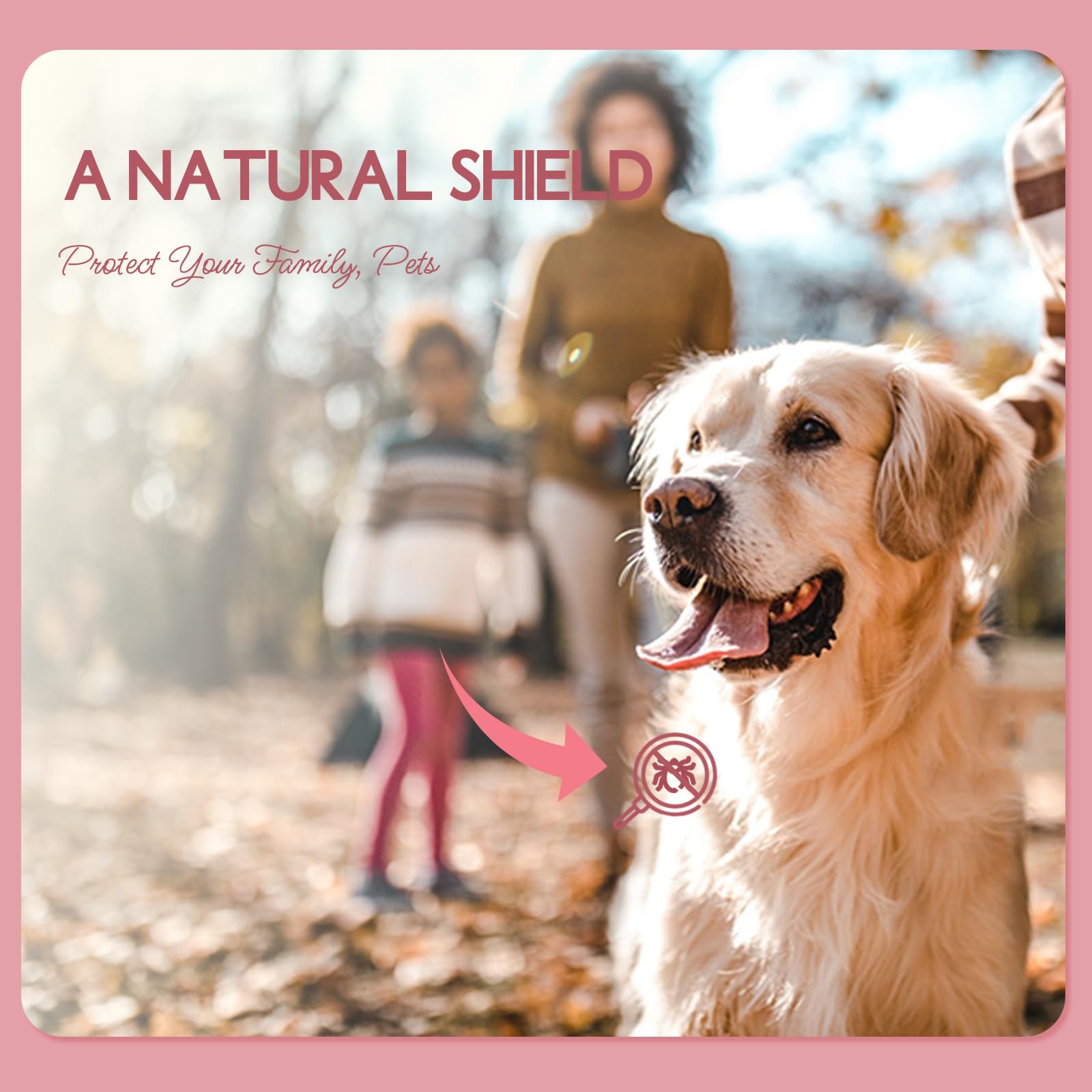 LOTUSJOY huile essentielle Géranium Rosat, parfum naturel pour produits faits maison