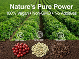 Grains de café vert arabica non torréfiés, matière première pure.