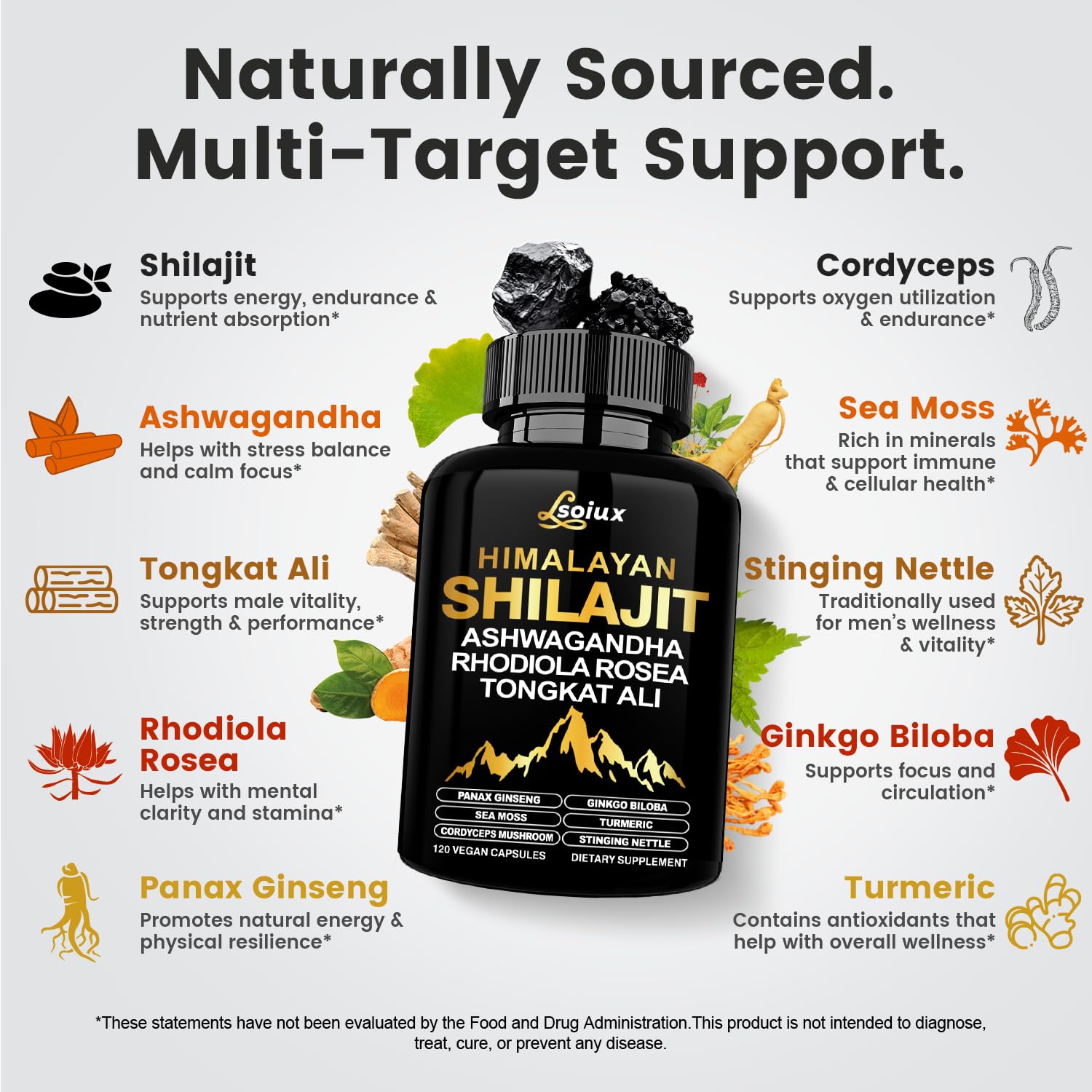 Shilajit acide fulvique et minéraux, base minérale naturelle LSOIUX.