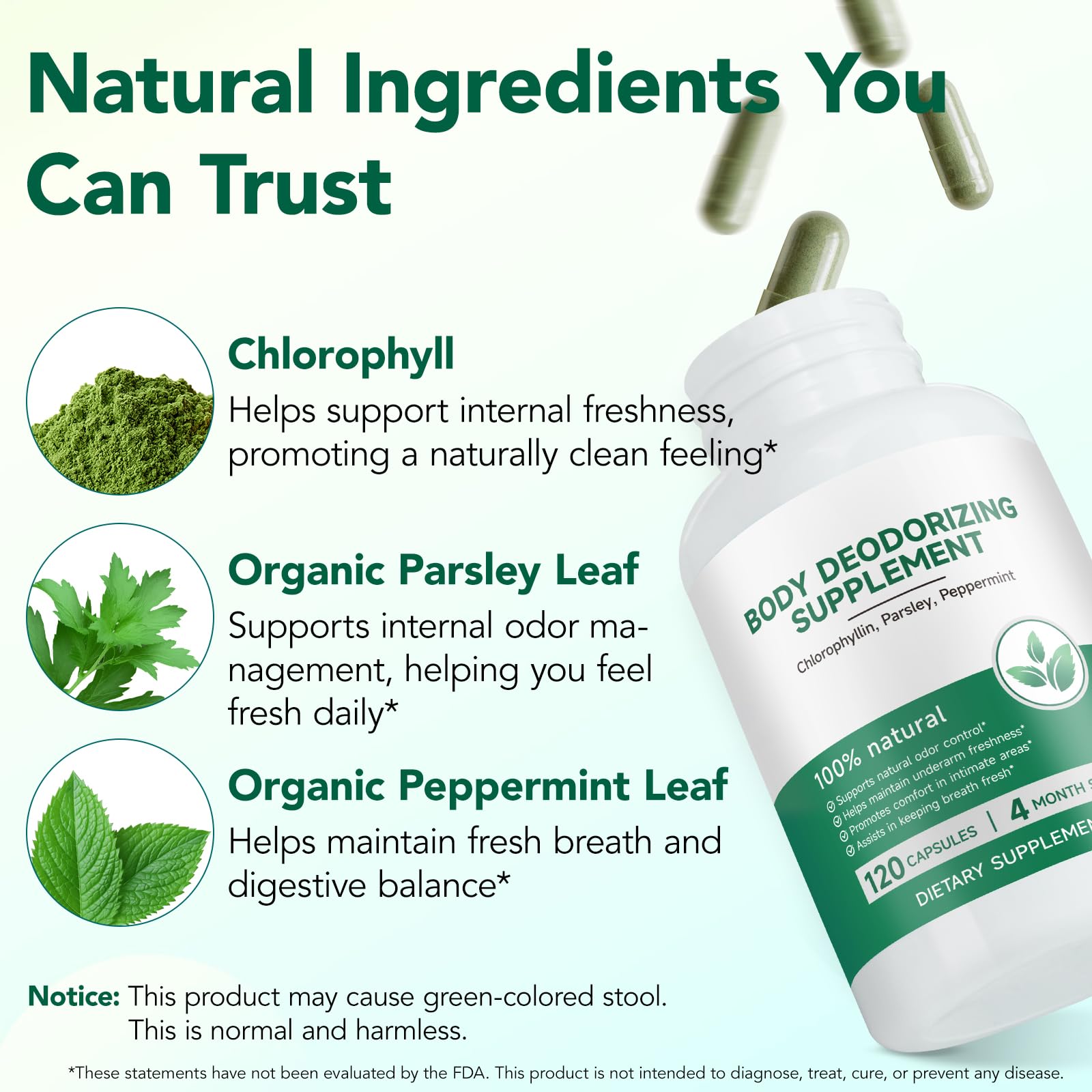 LTQXGT Chlorophylle, gros plan sur les capsules, soutien doux pour la fraîcheur intérieure.