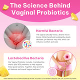 LTQXGT Probiotiques pour femmes – visuel végane, formule éthique pour le quotidien.
