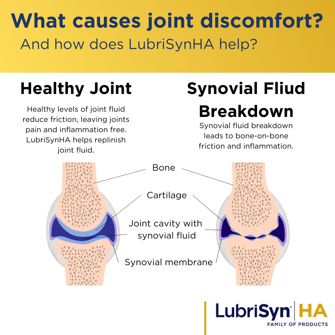 LubriSynHA, usage-quotidien, soutient mobilité et flexibilité au quotidien.