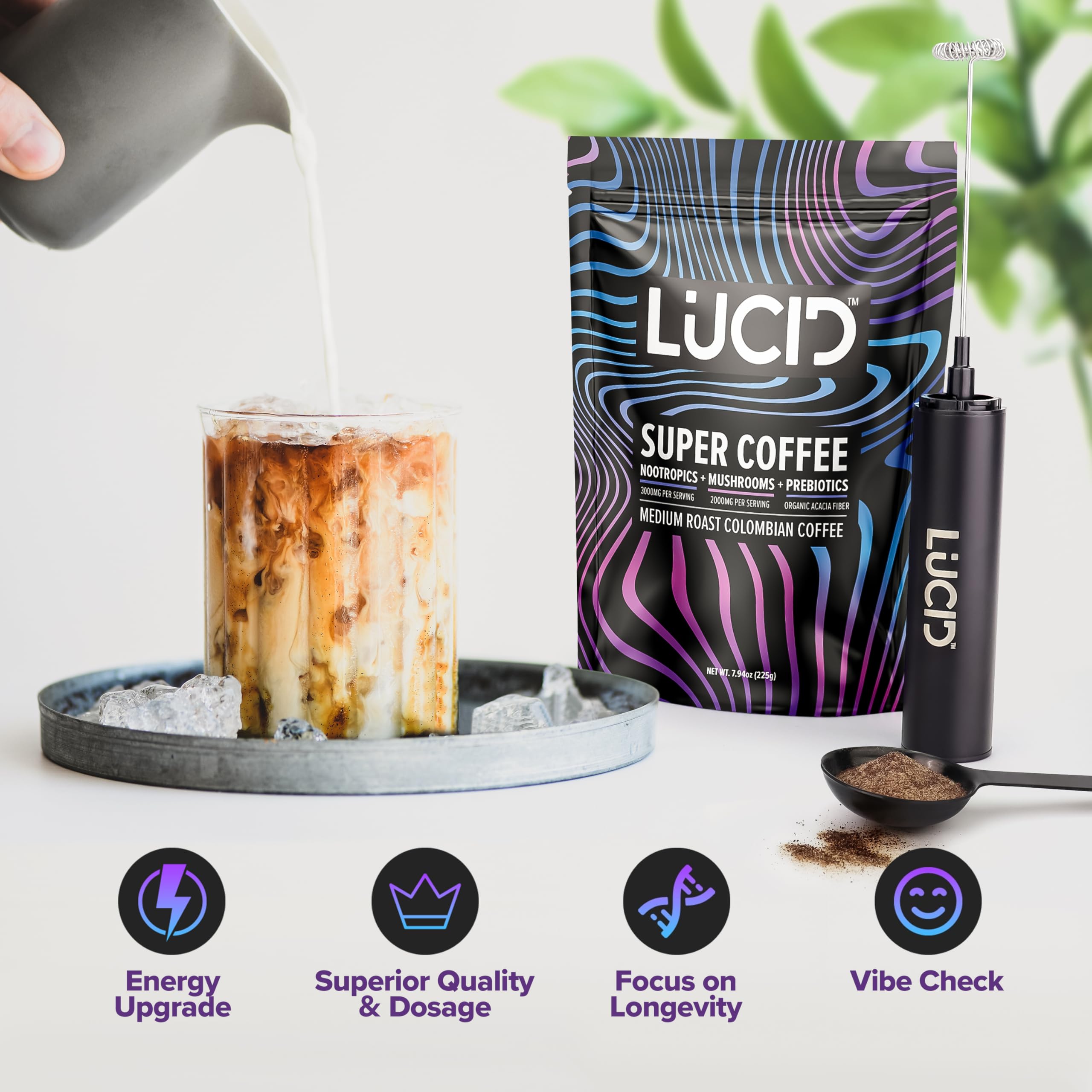 Lucid Superfood Café Ginkgo Biloba pour concentration et clarté