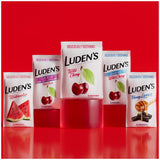 Pastilles Ludens douceur quotidienne – usage à domicile ou au bureau