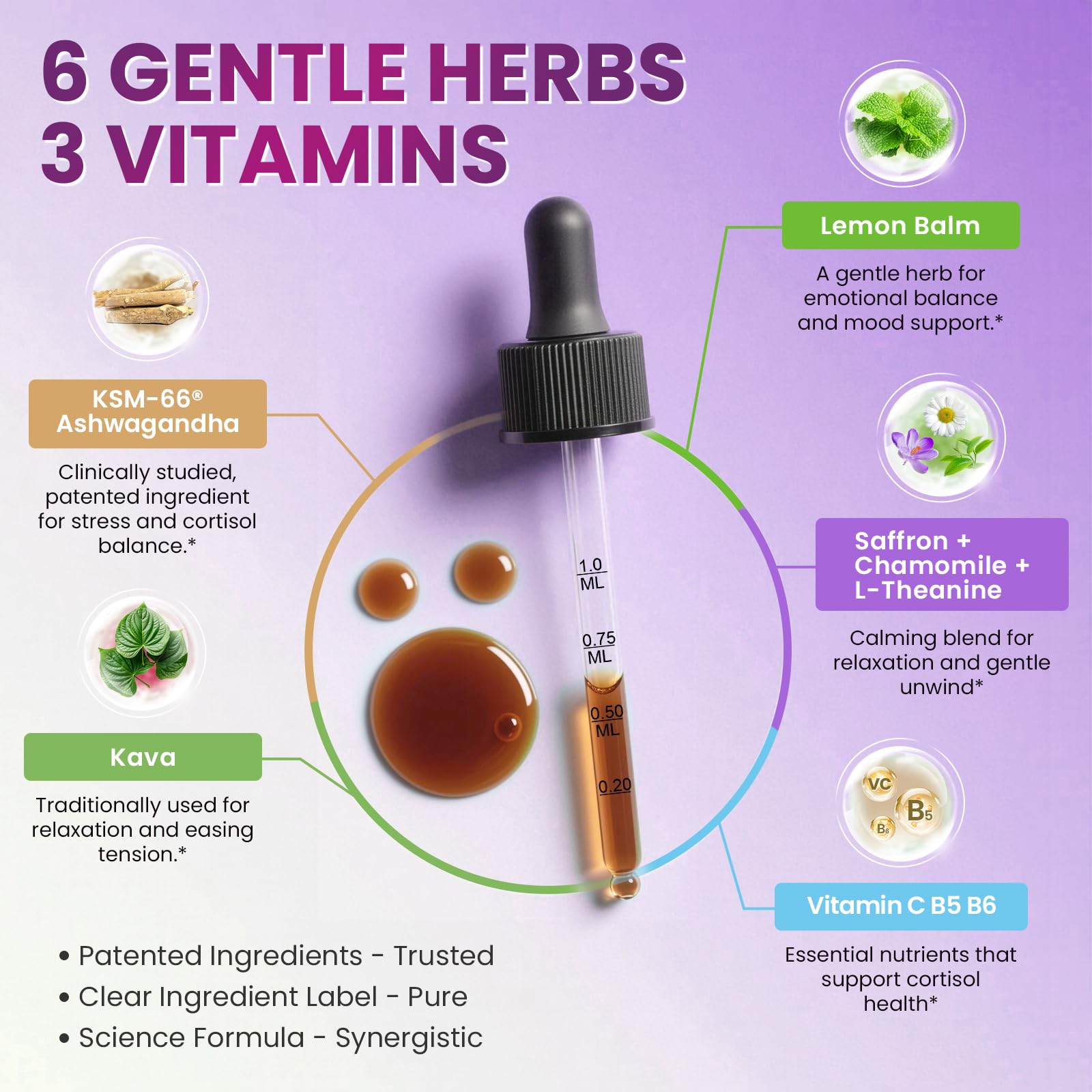 Compte-gouttes Lukaree pour une utilisation précise et facile avec la saveur myrtille.