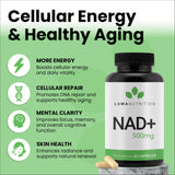 Capsules NAD+ de Luma Nutrition – format pratique pour énergie durable.