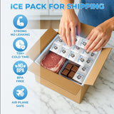 Packs LUNA ICE sans fuite pour glacières et trajets.