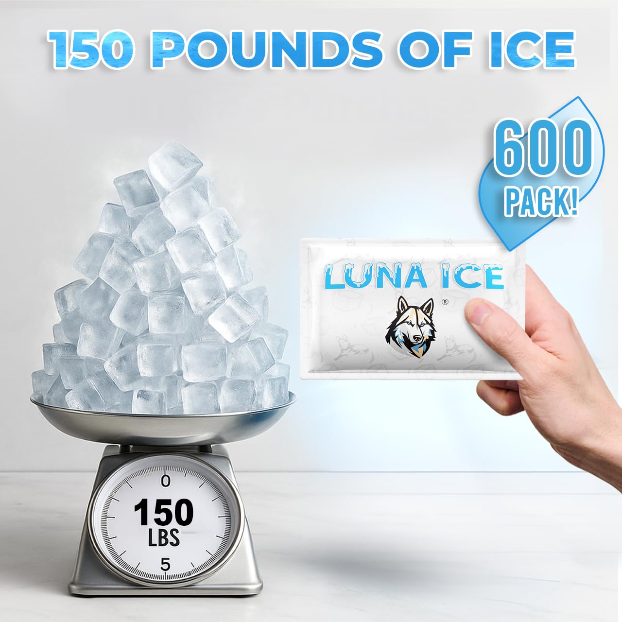Luna Ice pour glacière, réutilisable et longue conservation