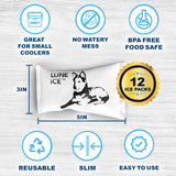 LUNA ICE: usages réutilisables ou jetables selon vos besoins