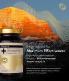 M Manna Shilajit, provenance himalayenne et haute biodisponibilité.
