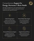 Récupération et performance mentale soutenues par la formulation Shilajit+.