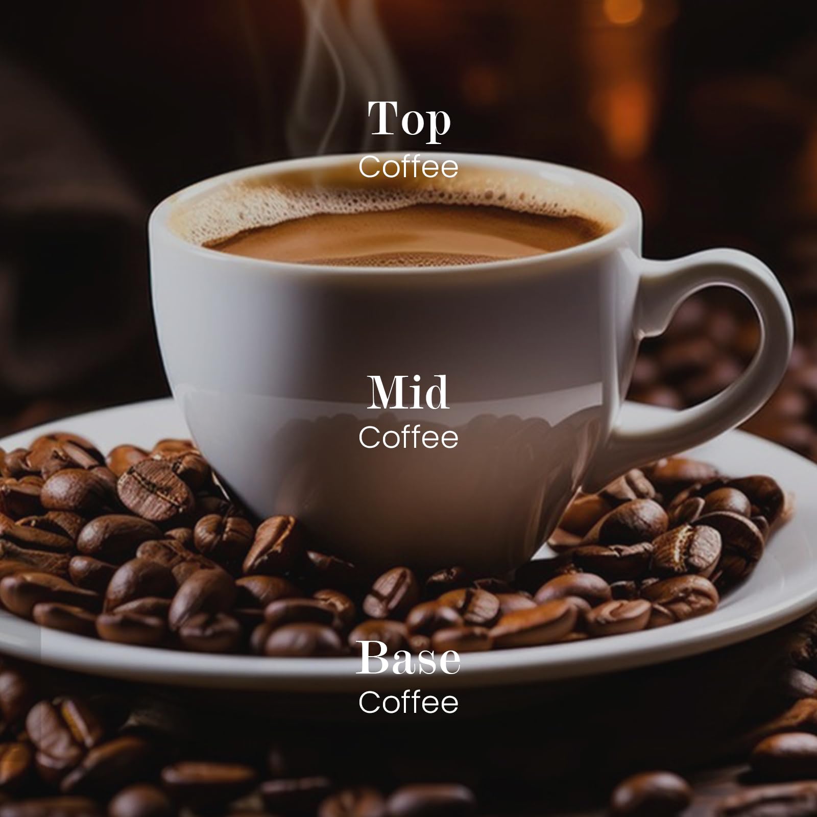 M&SENSE Bougie au soja Espresso Coffee avec flamme douce et diffusion chaleureuse