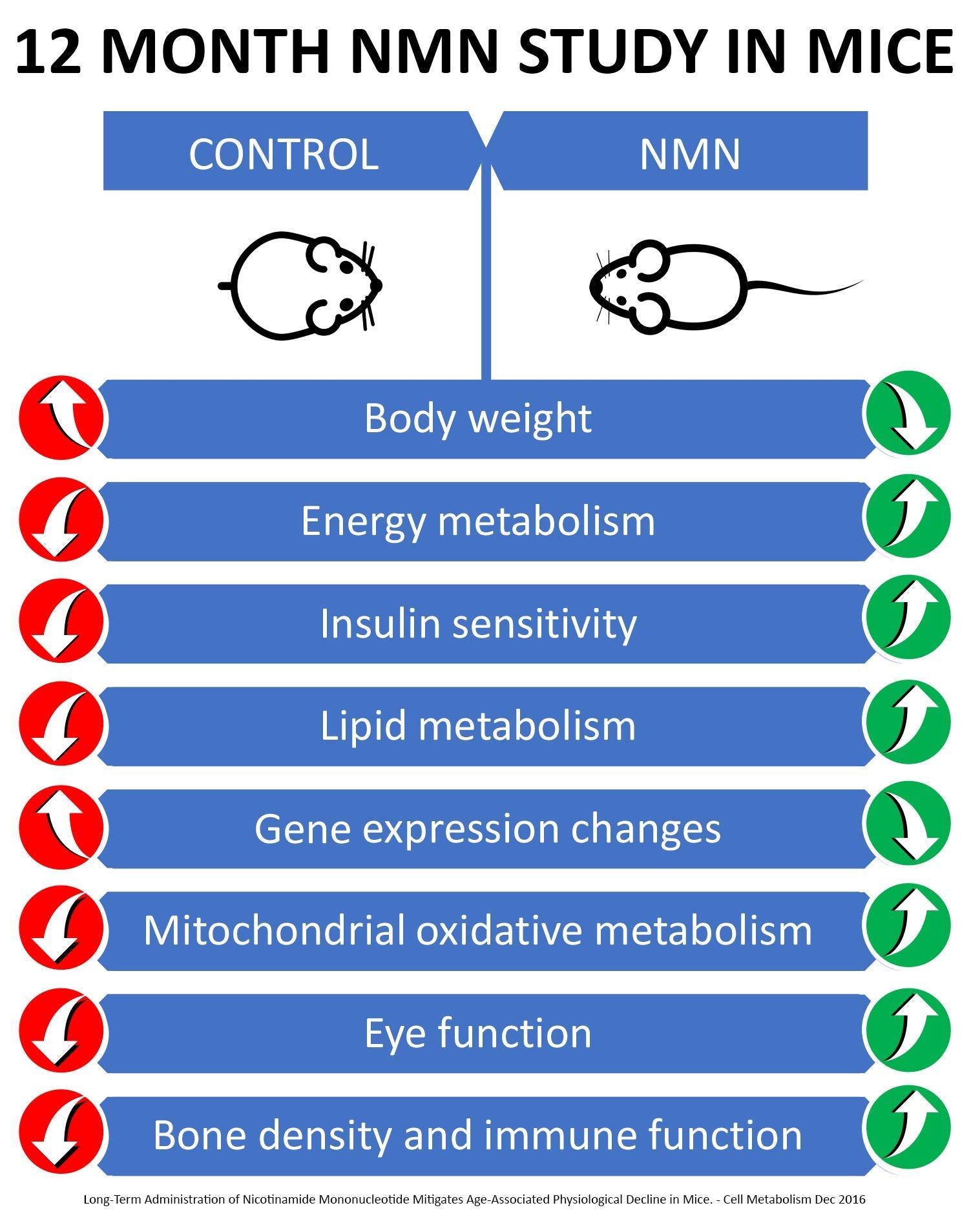 Étiquette MAAC10 NMN claire pour lire le dosage facilement.