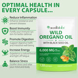 Gélules Maaoun d'origan biologique – carvacrol élevé pour la routine bien-être.