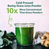 MacroLife Macro Greens – enzymes et prébiotiques pour une digestion potentielle.