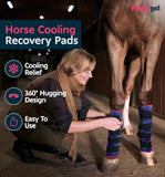 Magic Gel sangle fermeture jambe cheval, maintien sécurisé et compression contrôlée