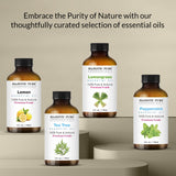 Majestic Pure eucalyptus huile – utilisée dans savon pour parfum naturel
