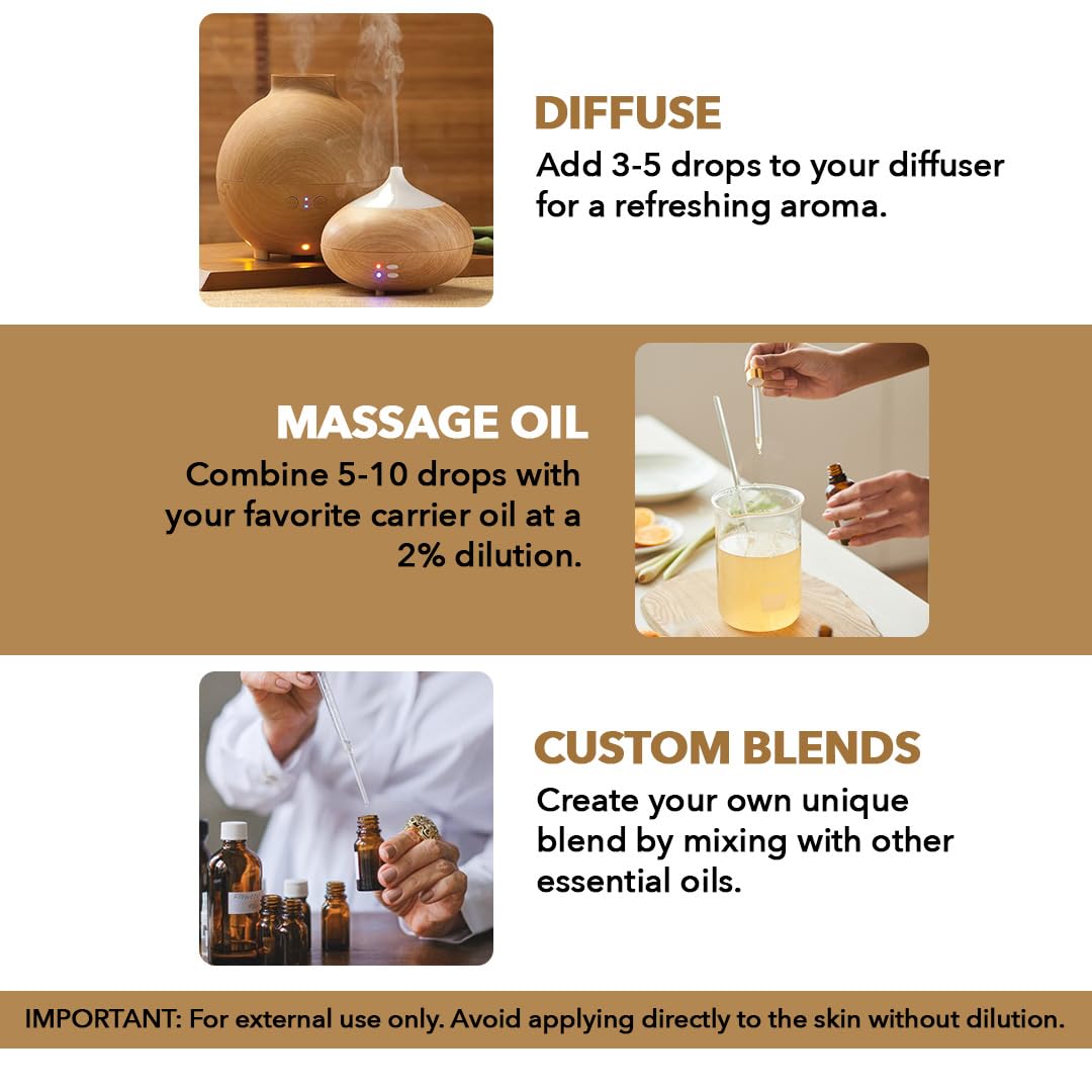 Majestic Pure huile d’encens dans diffuseur-aromathérapie, ambiance apaisante et enveloppante.