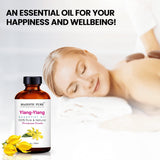 Majestic Pure huile ylang-ylang dans diffuseur-aromatherapie pour parfumer une pièce.