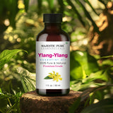 Majestic Pure huile ylang-ylang avec pipette-doseuse, dosage précis pour vos mélanges.