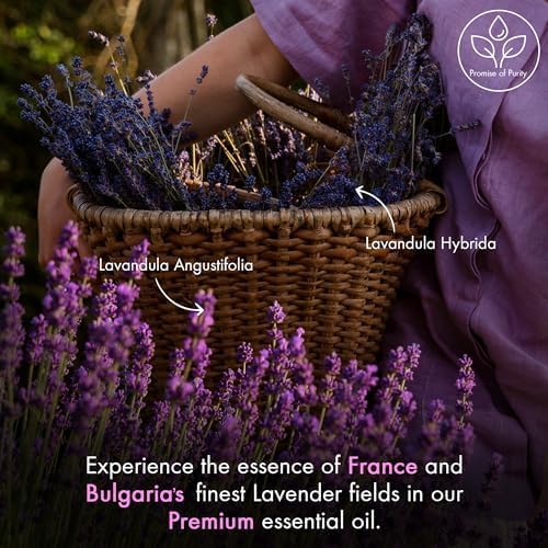 Utilisation en diffuseur avec Majestic Pure lavande pour une ambiance relaxante.