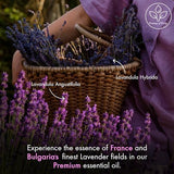 Utilisation en diffuseur avec Majestic Pure lavande pour une ambiance relaxante.