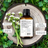 Utilisation en savon et bougies grâce à l'huile d'angélique Majestic Pure.
