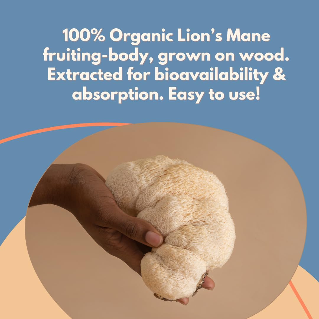 MALAMA MUSHROOMS Bienfaits antioxydants pour énergie et bien-être.