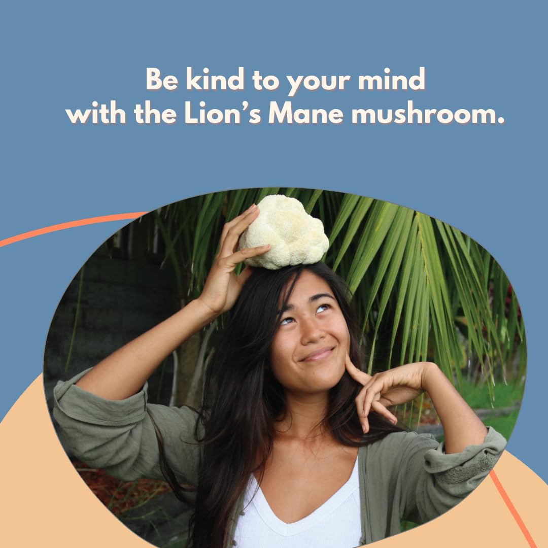 MALAMA MUSHROOMS Préparation rapide: boisson chaude ou smoothies.