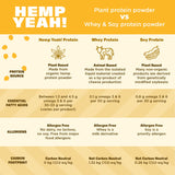 Smoothies colorés avec Hemp Yeah et mangue ou baies pour un en-cas sain