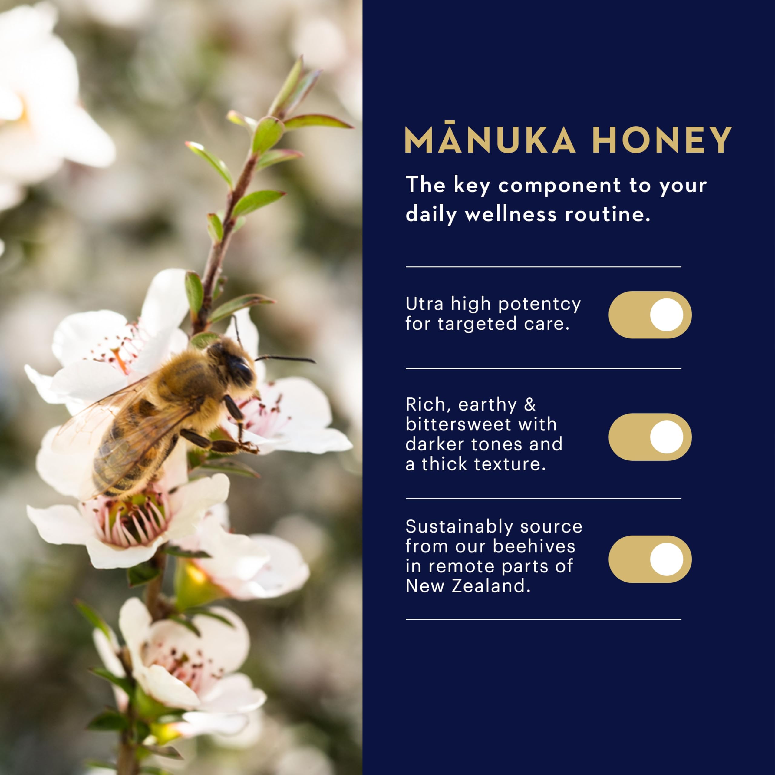 Miel Manuka MGO 400+ et propolis néo-zélandais visibles.