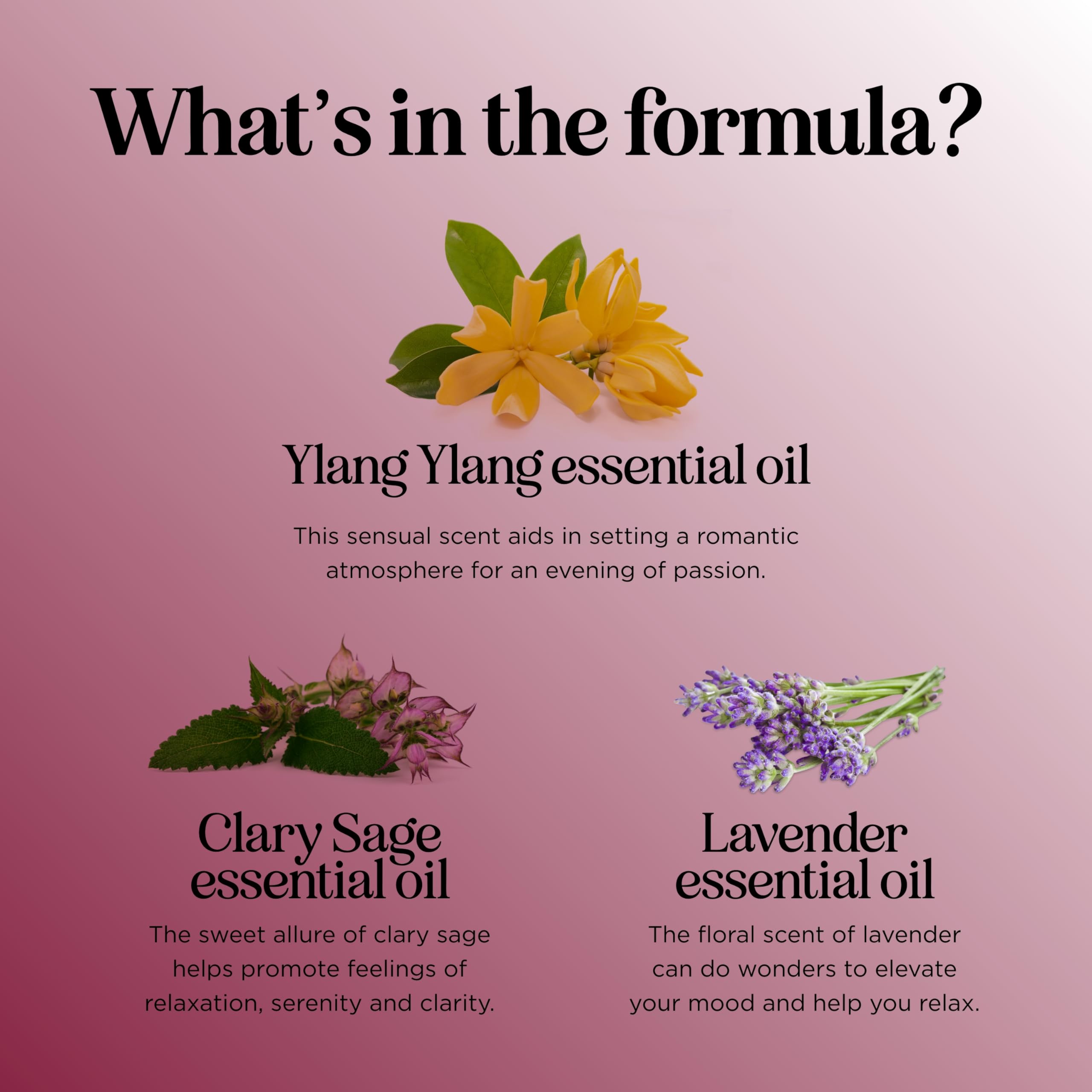 Maple Holistics Entice: ambiance romantique et relaxation grâce aux huiles essentielles