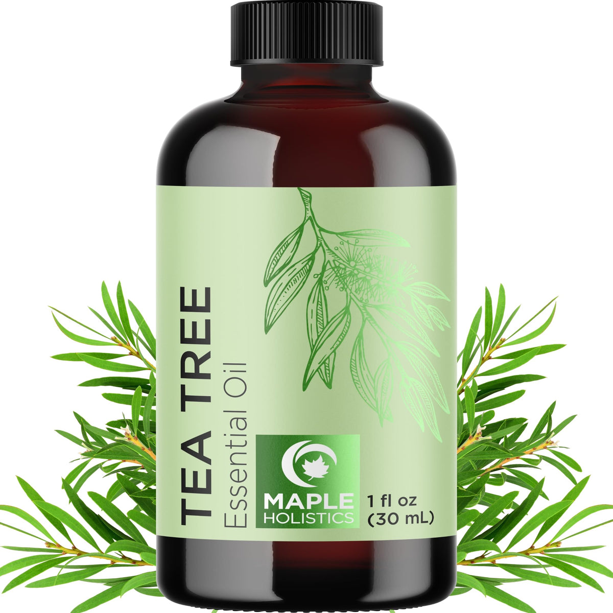 Maple Holistics huile arbre à thé en flacon pipette pour application topique pratique.