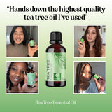 Maple Holistics huile arbre à thé diffusion aromathérapie apaisante.
