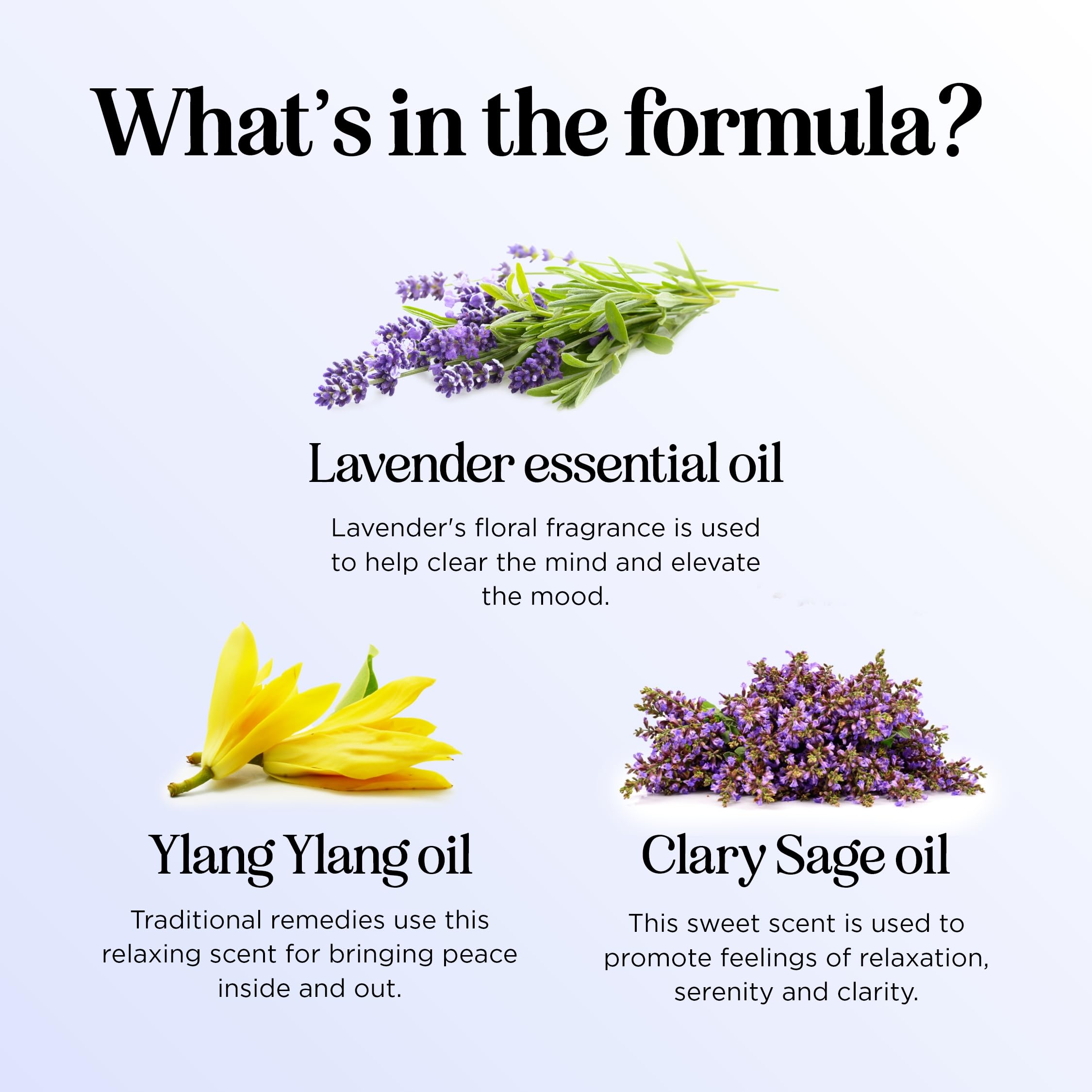 Maple Holistics Reve ylang-ylang, bouteille pour relaxation sensorielle.