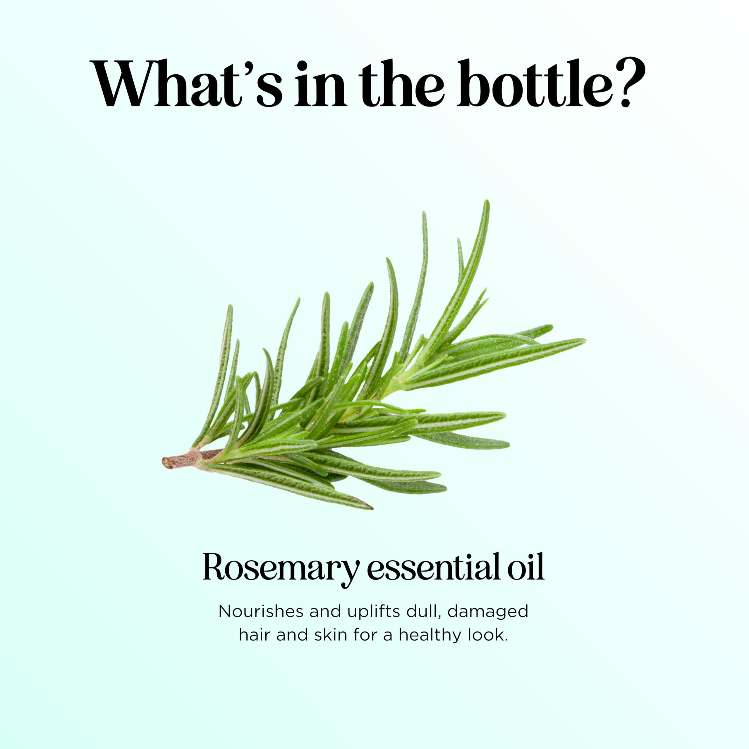 Diffusion aromathérapie avec huile de romarin Maple Holistics