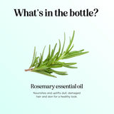 Diffusion aromathérapie avec huile de romarin Maple Holistics