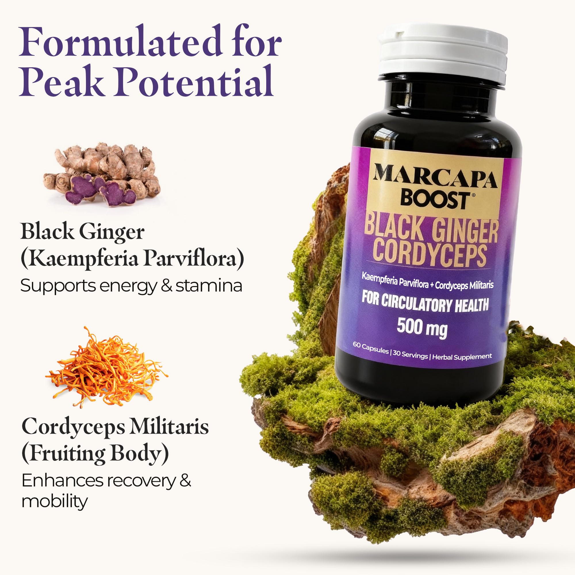 Marcapa Boost : recuperation rapide musculaire apres l effort.