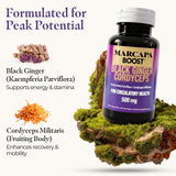 Marcapa Boost : recuperation rapide musculaire apres l effort.