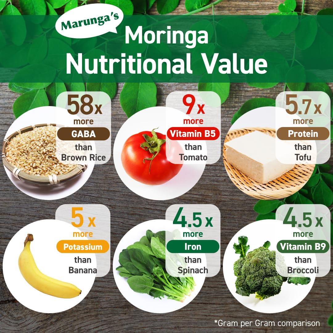 Marunga Poudre de Moringa, infusion chaude rapide, goût légèrement herbacé.