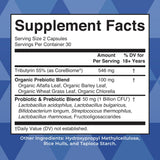 Capsules véganes MaryRuth's Complete Gut Health+ faciles à avaler pour soutenir le microbiome.