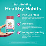 Gommes adaptées adultes et enfants à partir de 4 ans MaryRuth's Sea Moss.